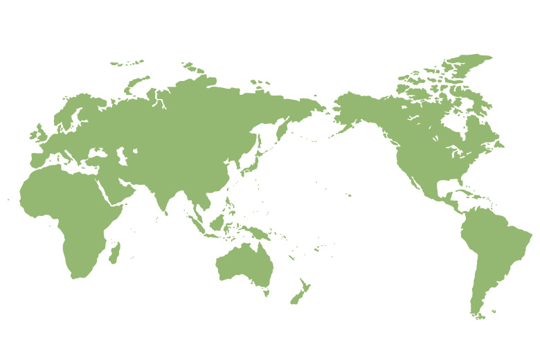 Product lineup by region