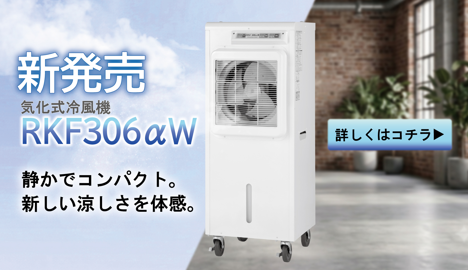 新発売RKF306αW