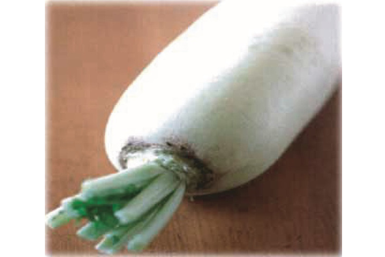 daikon2